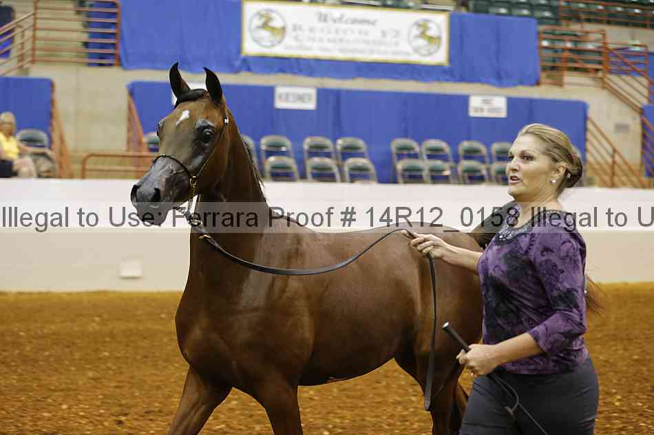 Proof 14r12_0158