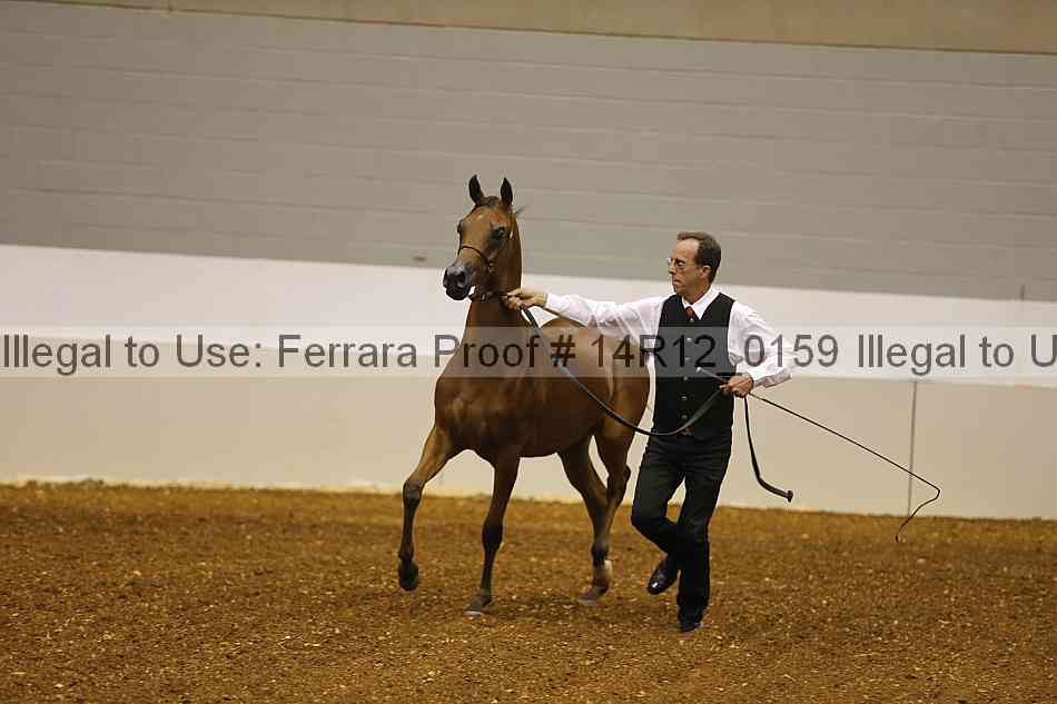 Proof 14r12_0159