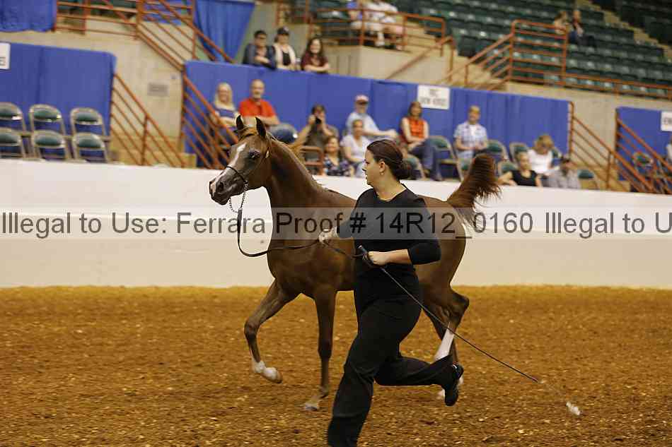 Proof 14r12_0160