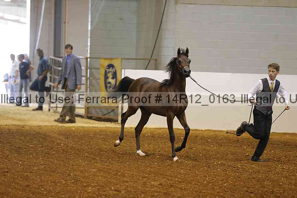 Proof 14r12_0163