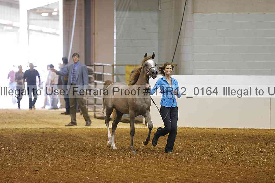 Proof 14r12_0164