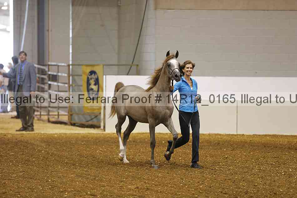 Proof 14r12_0165