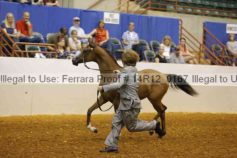 Proof 14r12_0167