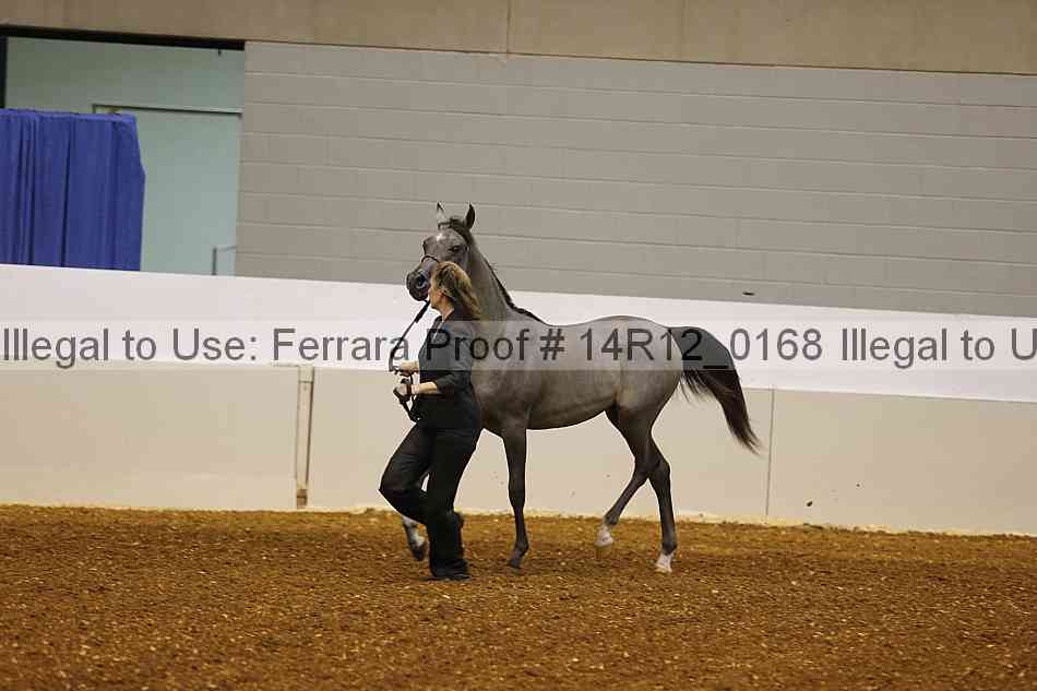 Proof 14r12_0168