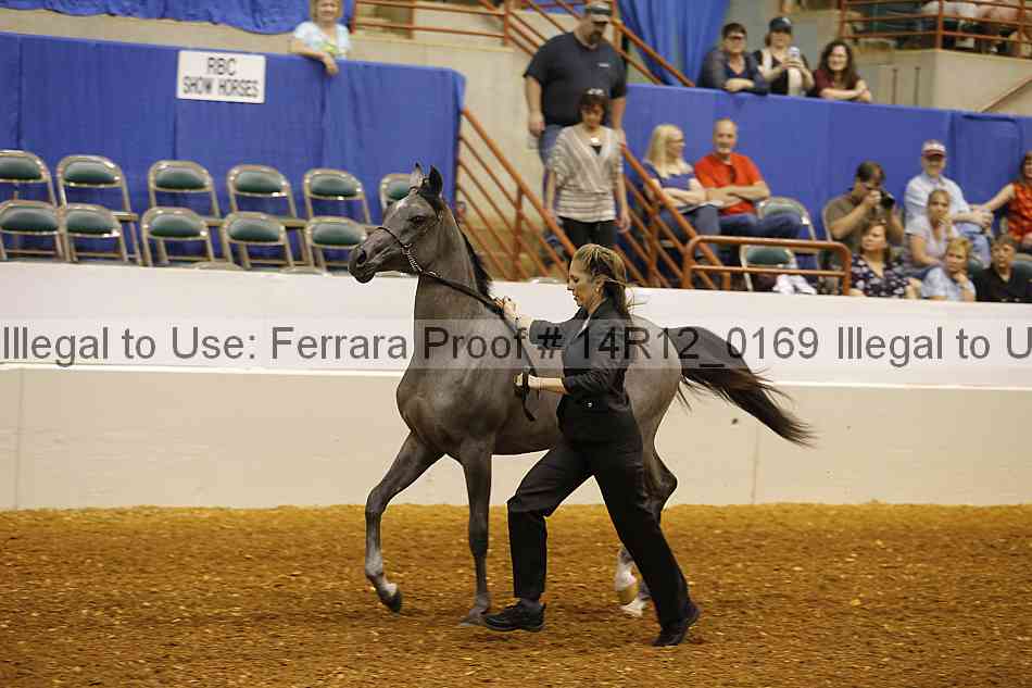 Proof 14r12_0169
