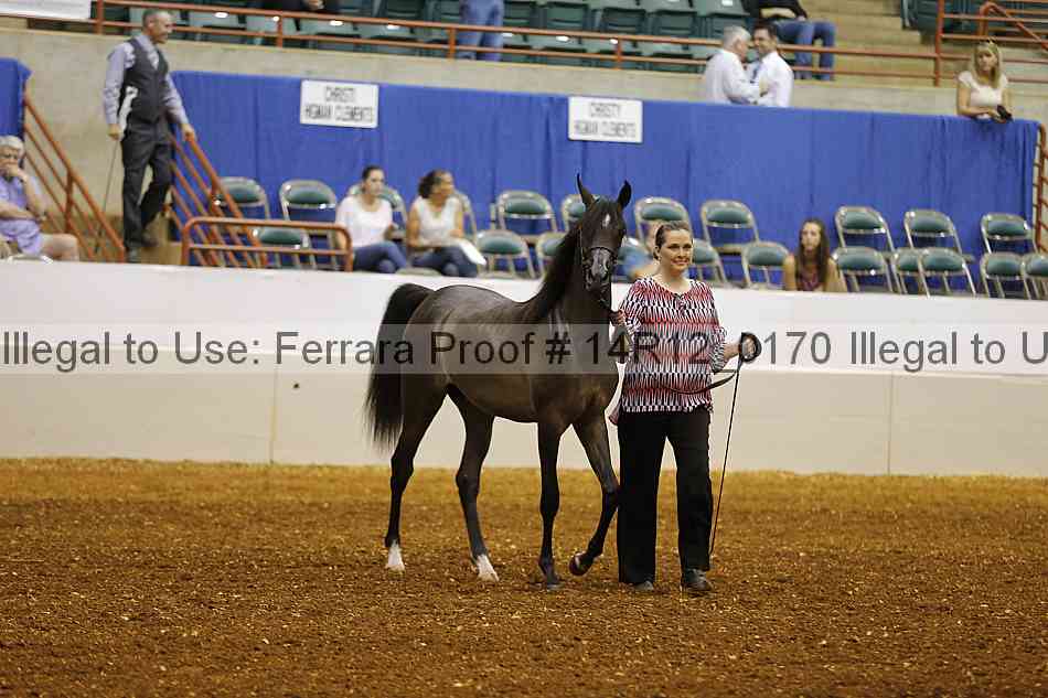 Proof 14r12_0170