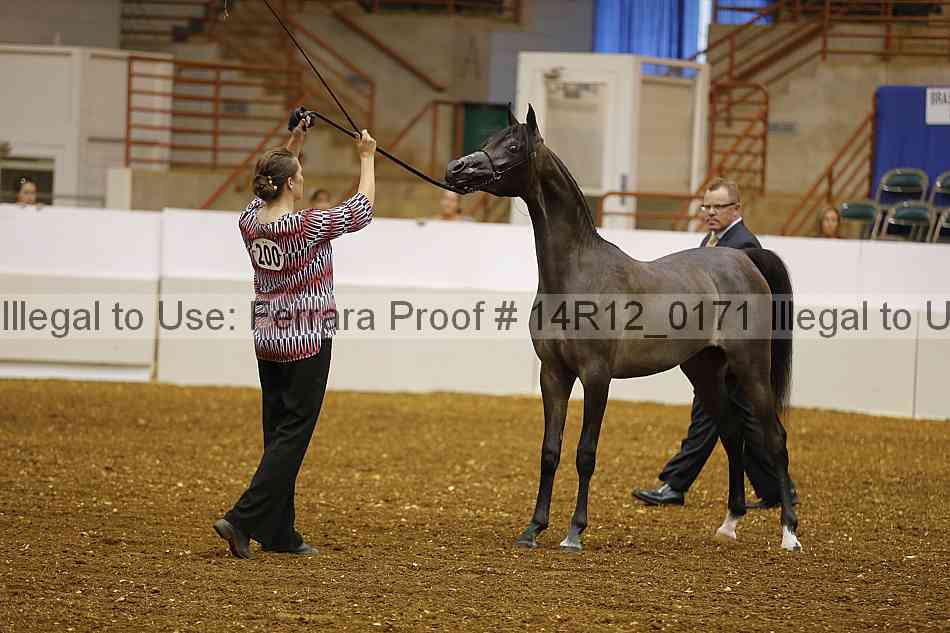 Proof 14r12_0171