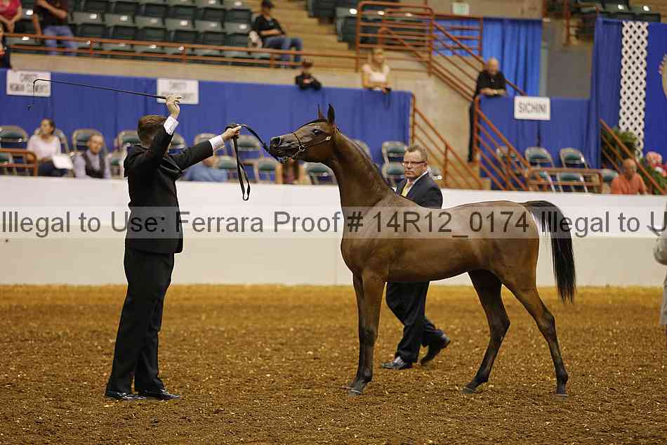 Proof 14r12_0174