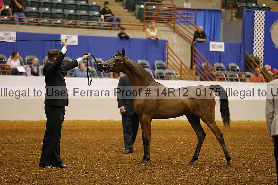 Proof 14r12_0175