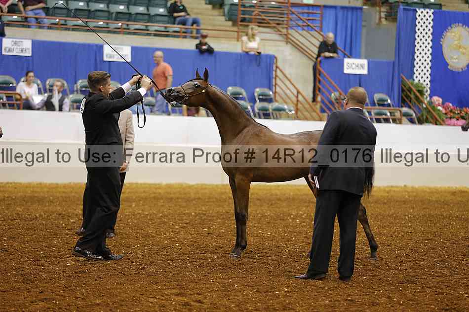 Proof 14r12_0176