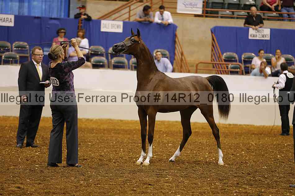 Proof 14r12_0180