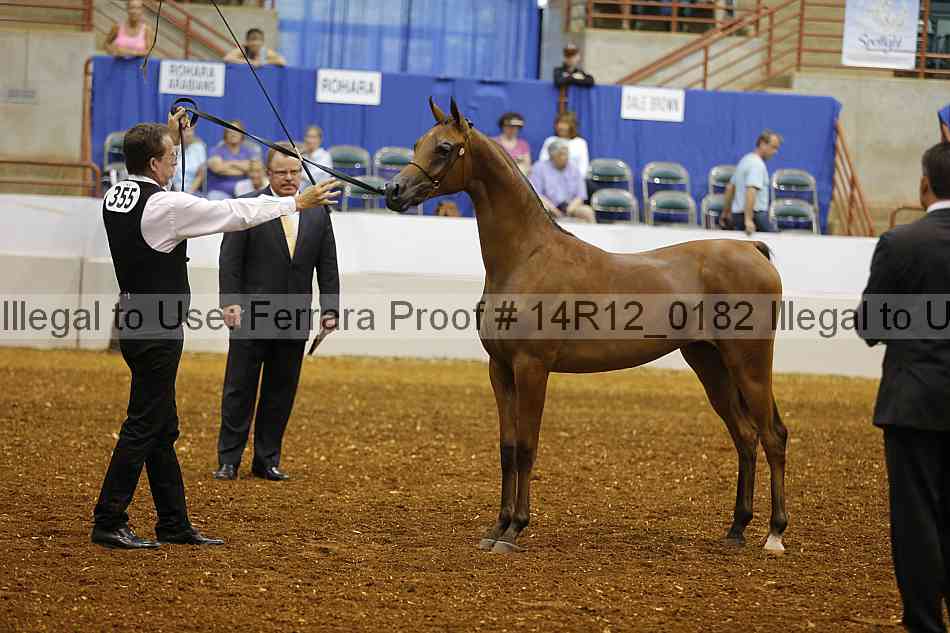Proof 14r12_0182