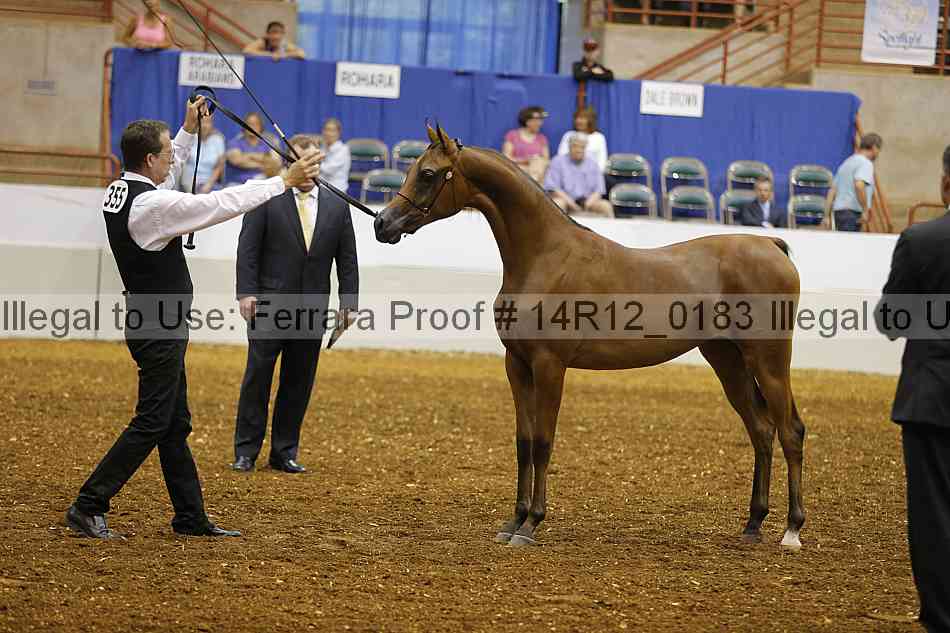 Proof 14r12_0183