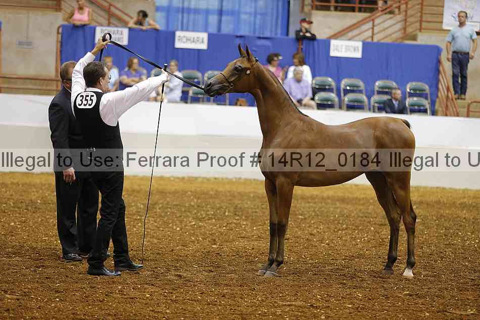 Proof 14r12_0184