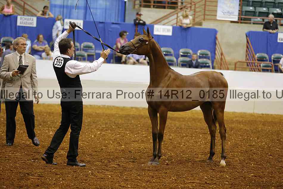 Proof 14r12_0185