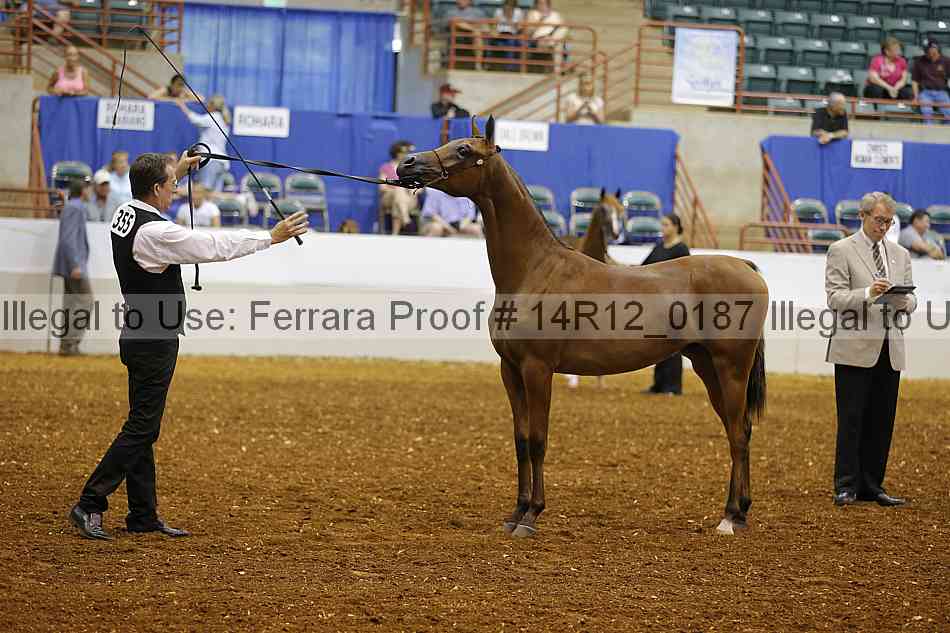 Proof 14r12_0187