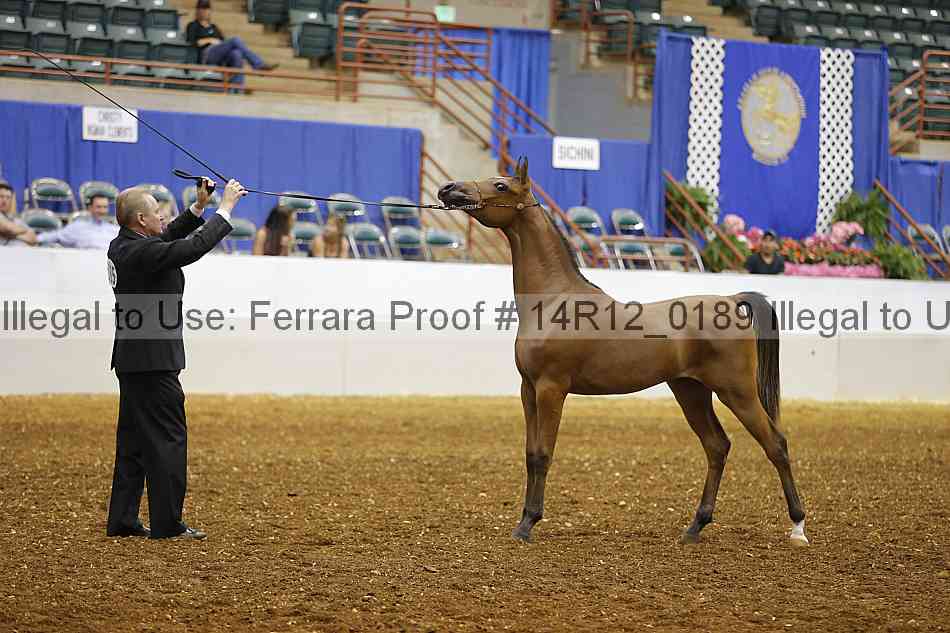 Proof 14r12_0189