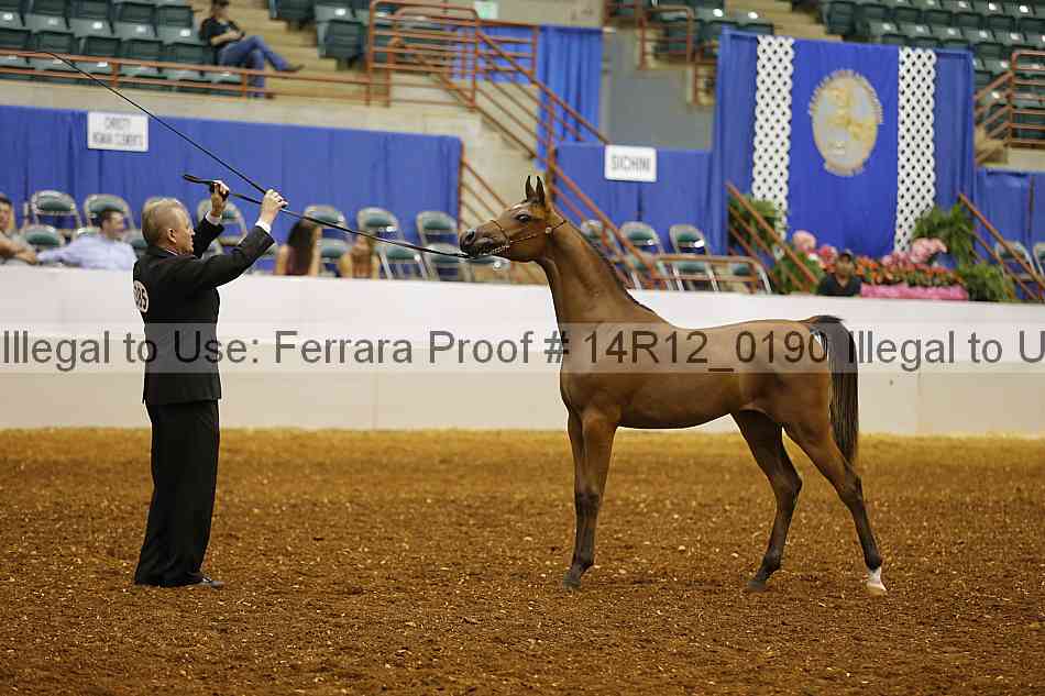 Proof 14r12_0190