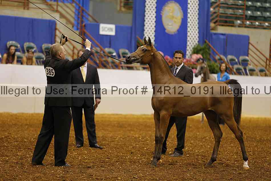 Proof 14r12_0191