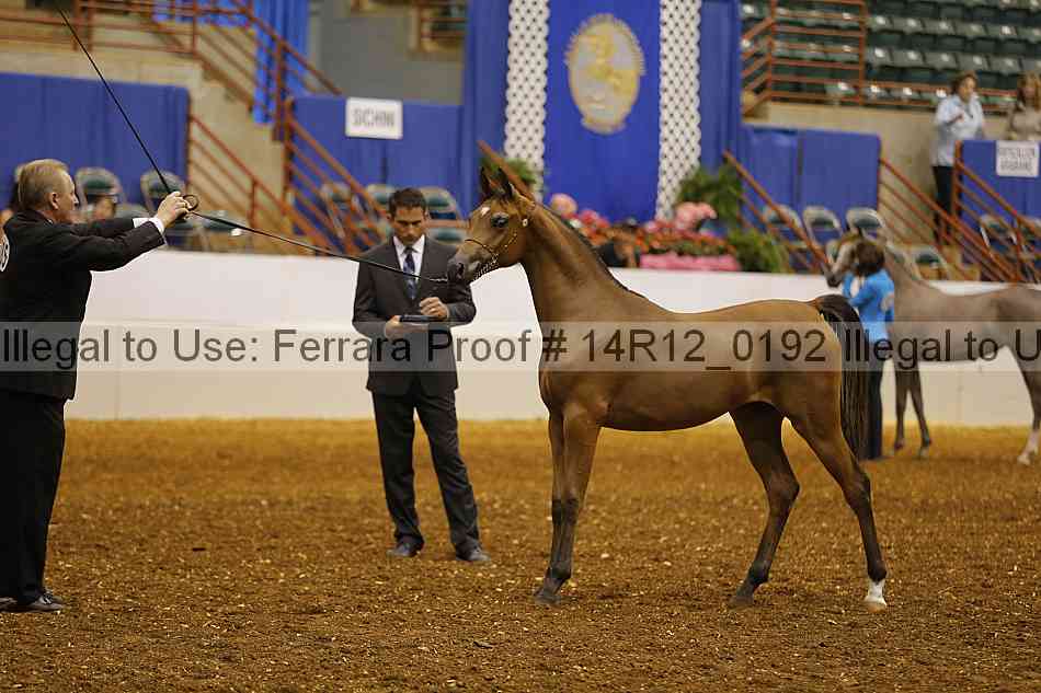 Proof 14r12_0192