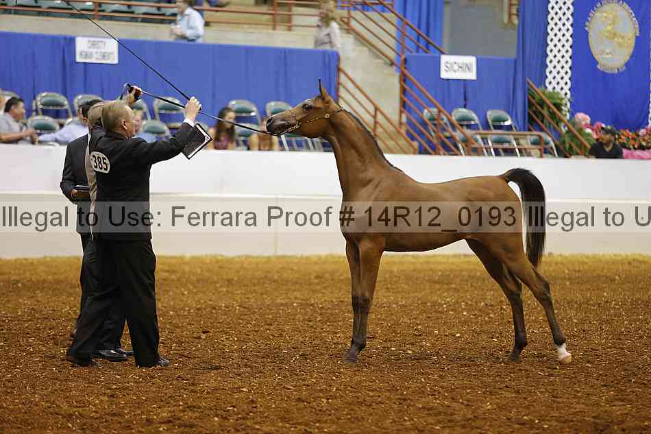 Proof 14r12_0193