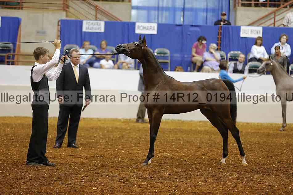 Proof 14r12_0194