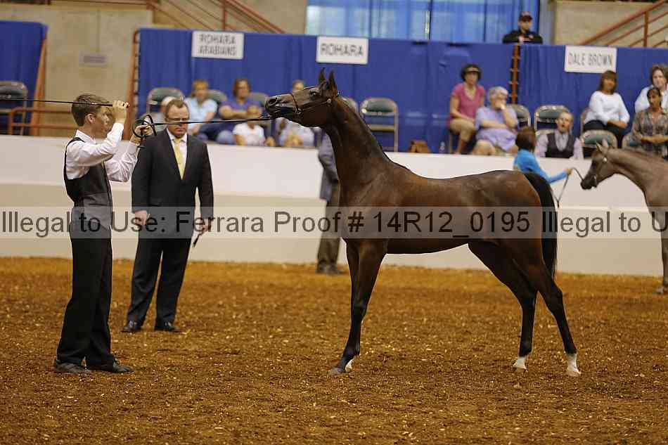 Proof 14r12_0195