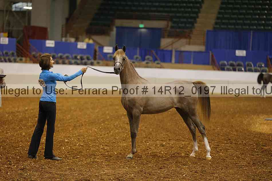 Proof 14r12_0197
