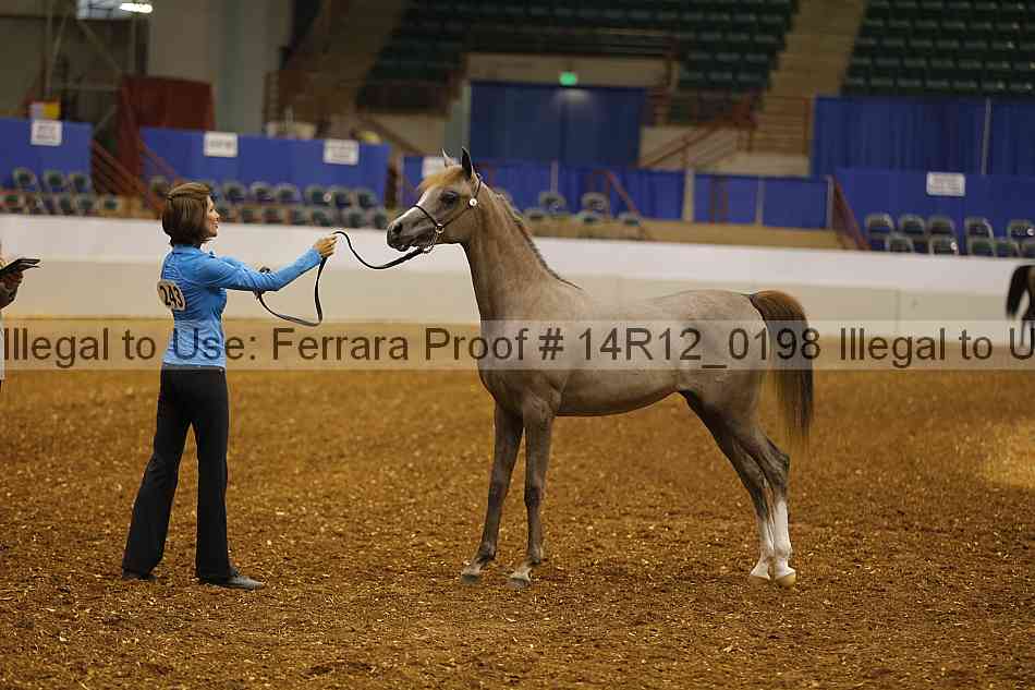 Proof 14r12_0198
