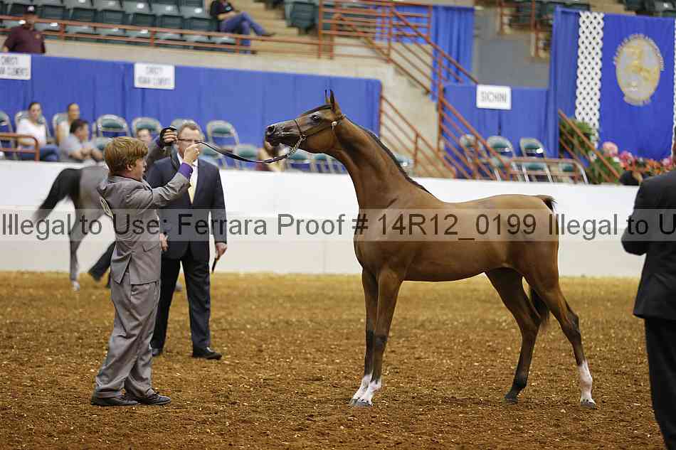 Proof 14r12_0199