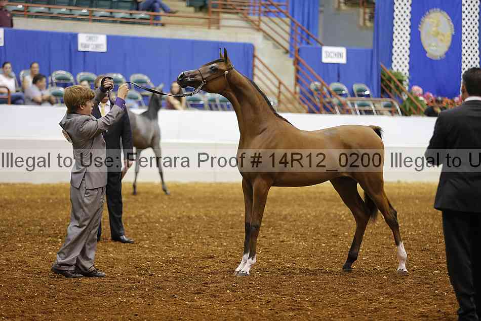 Proof 14r12_0200