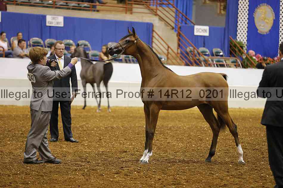 Proof 14r12_0201
