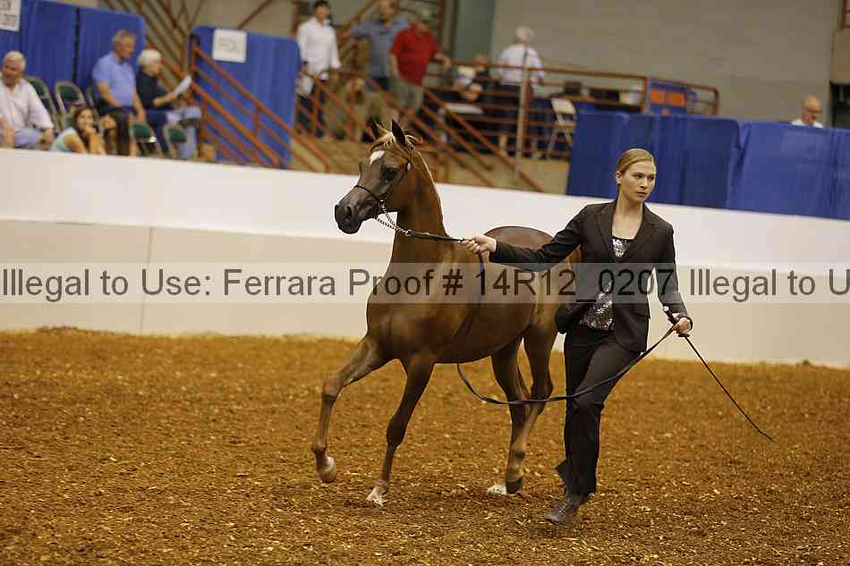 Proof 14r12_0207