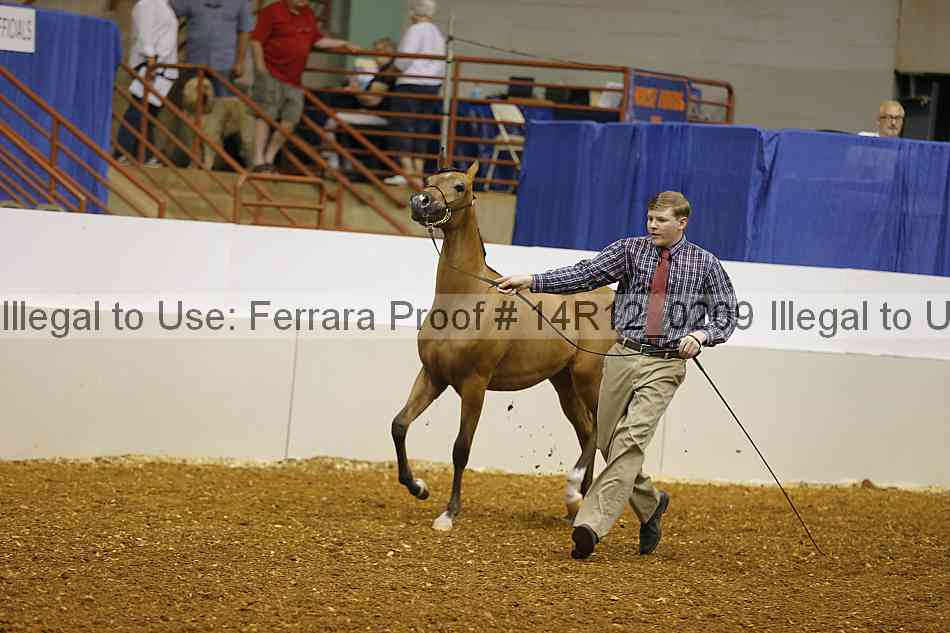 Proof 14r12_0209