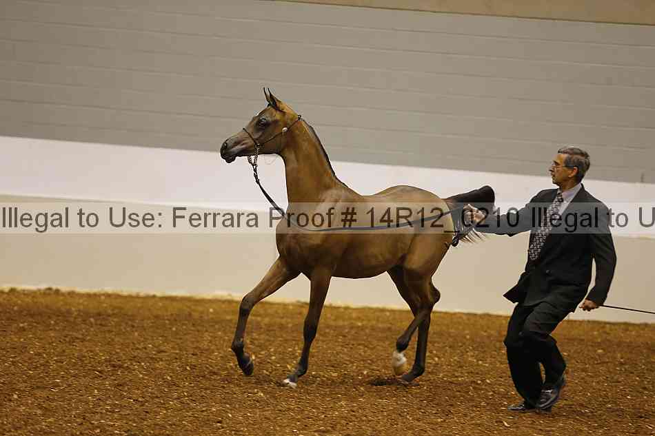 Proof 14r12_0210