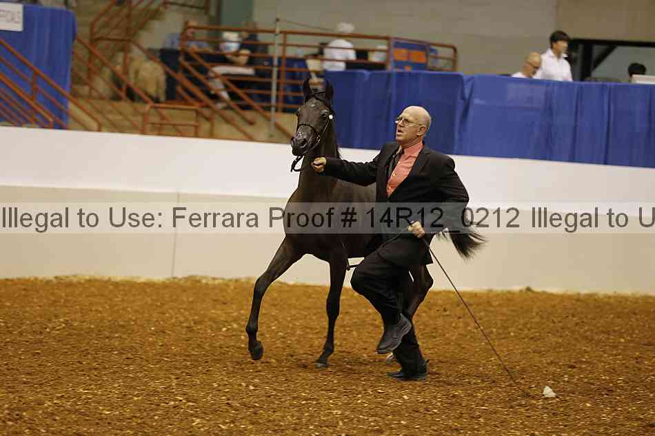 Proof 14r12_0212