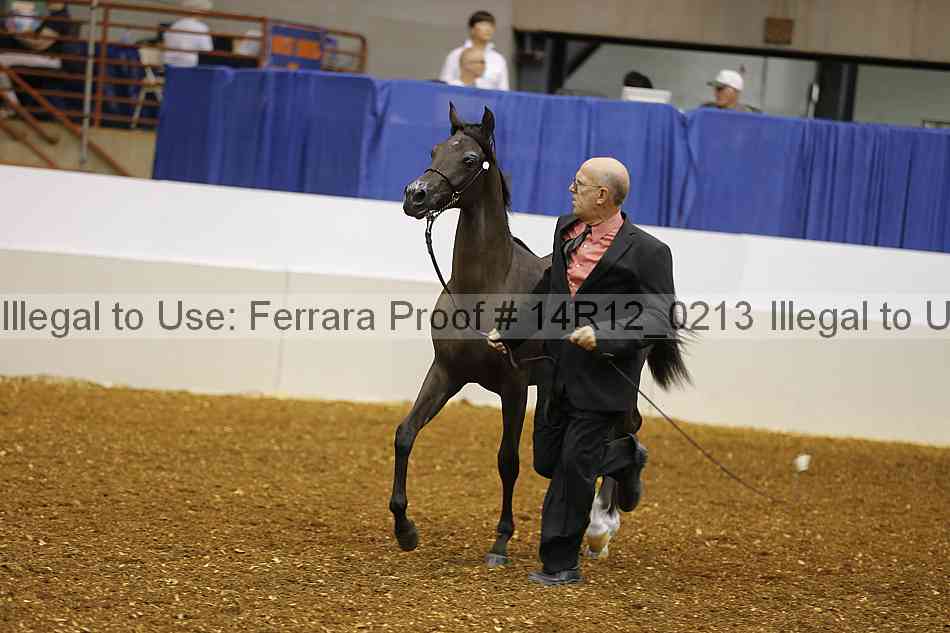 Proof 14r12_0213