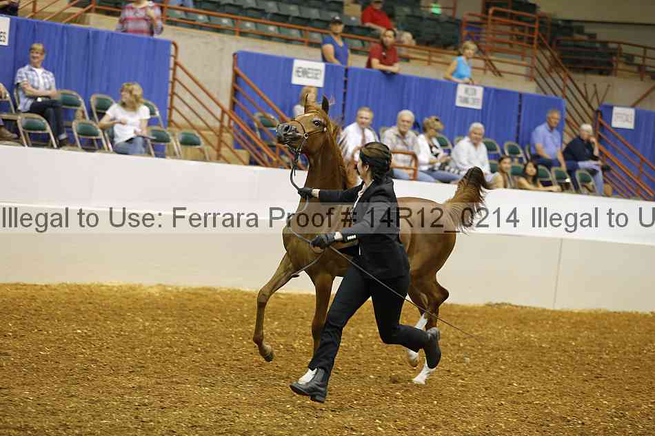 Proof 14r12_0214