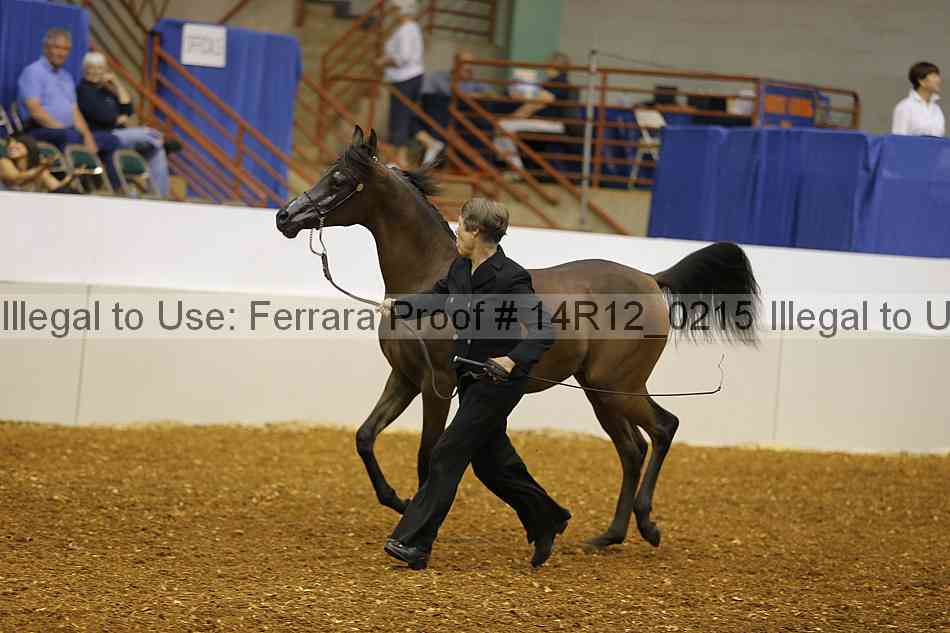 Proof 14r12_0215