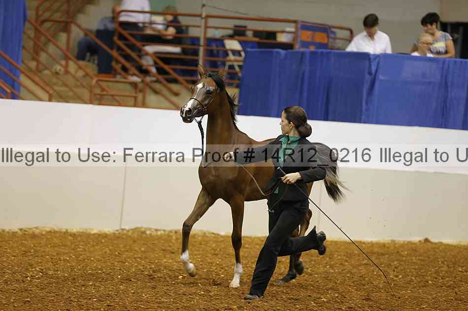 Proof 14r12_0216