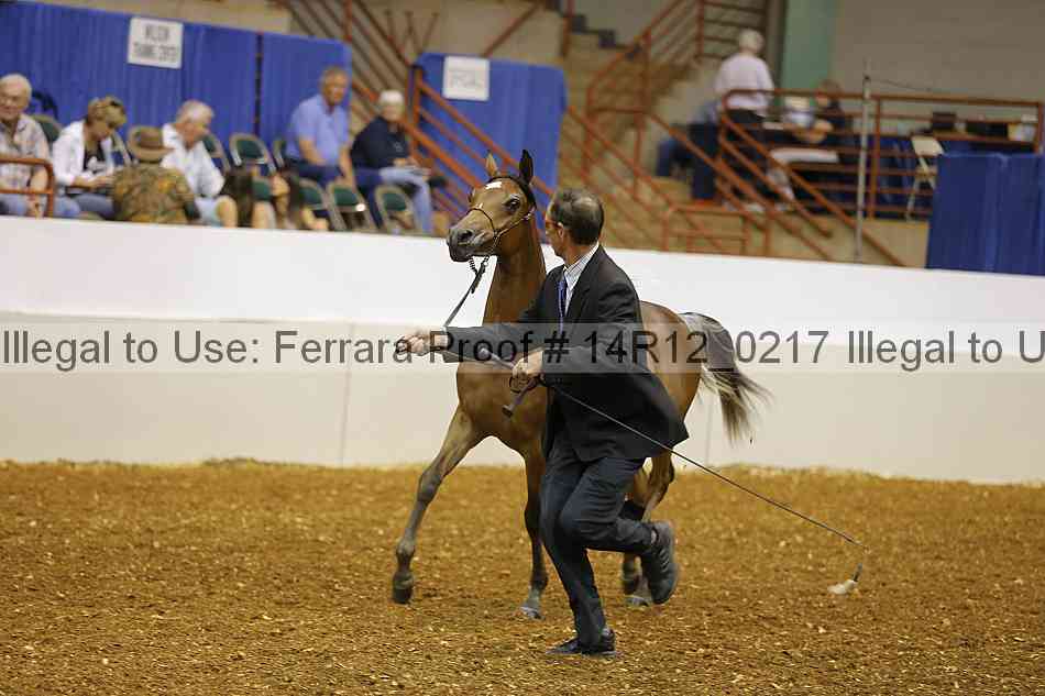 Proof 14r12_0217
