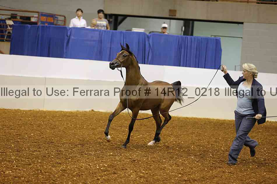 Proof 14r12_0218