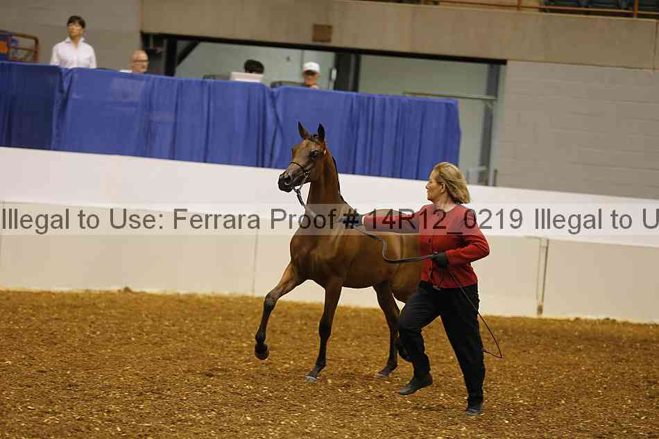Proof 14r12_0219