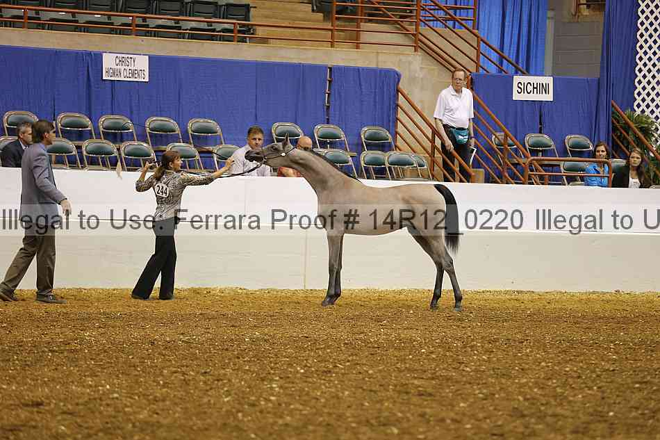 Proof 14r12_0220