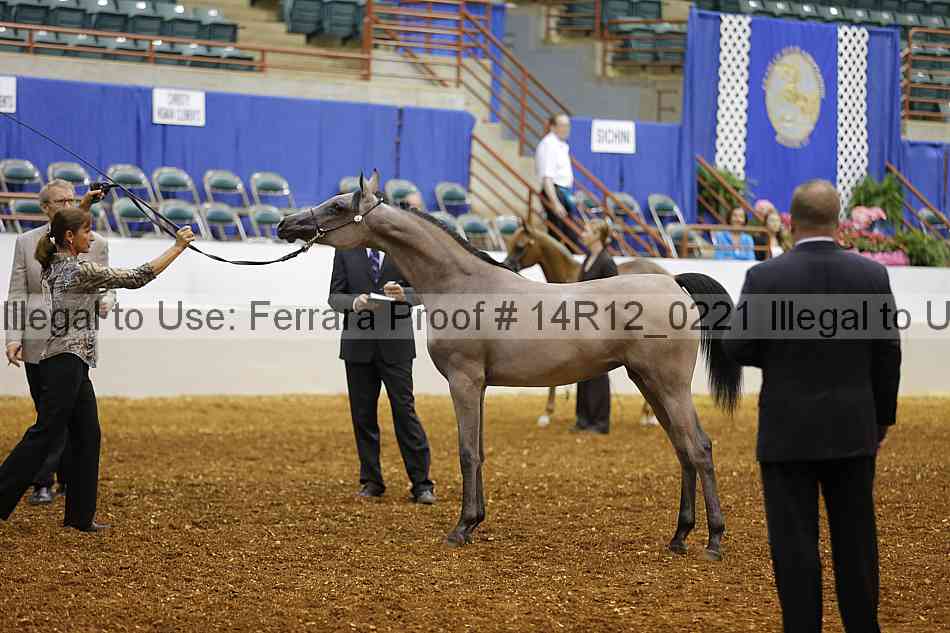 Proof 14r12_0221