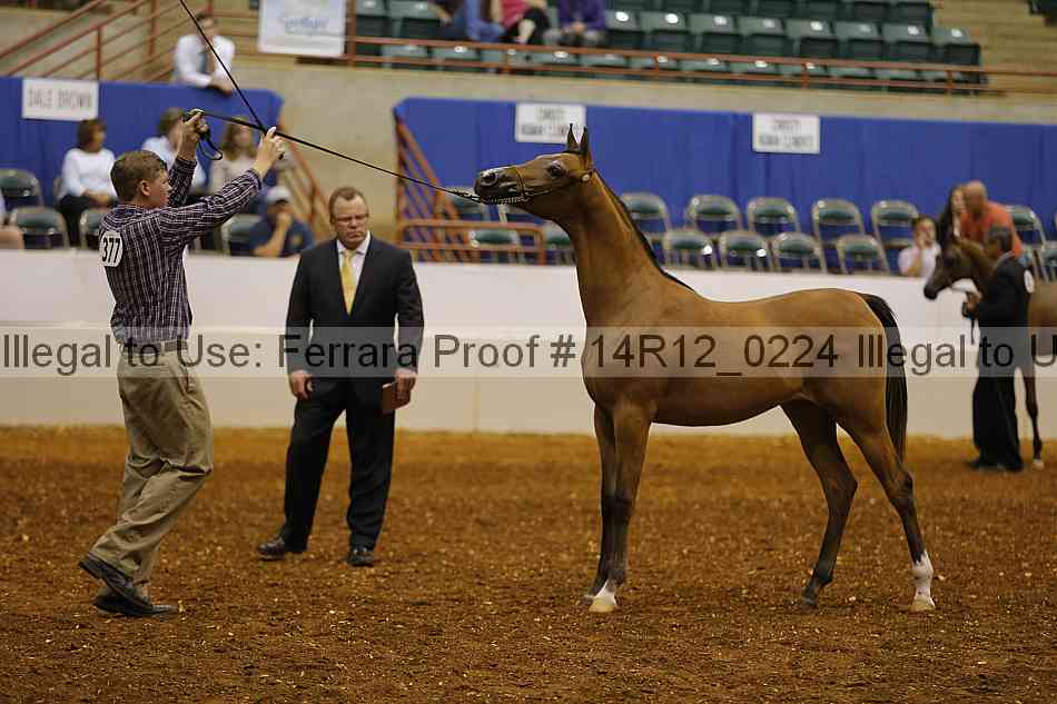 Proof 14r12_0224