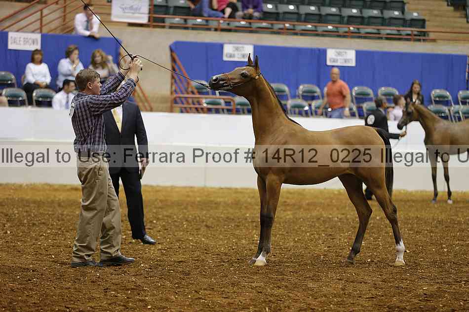 Proof 14r12_0225