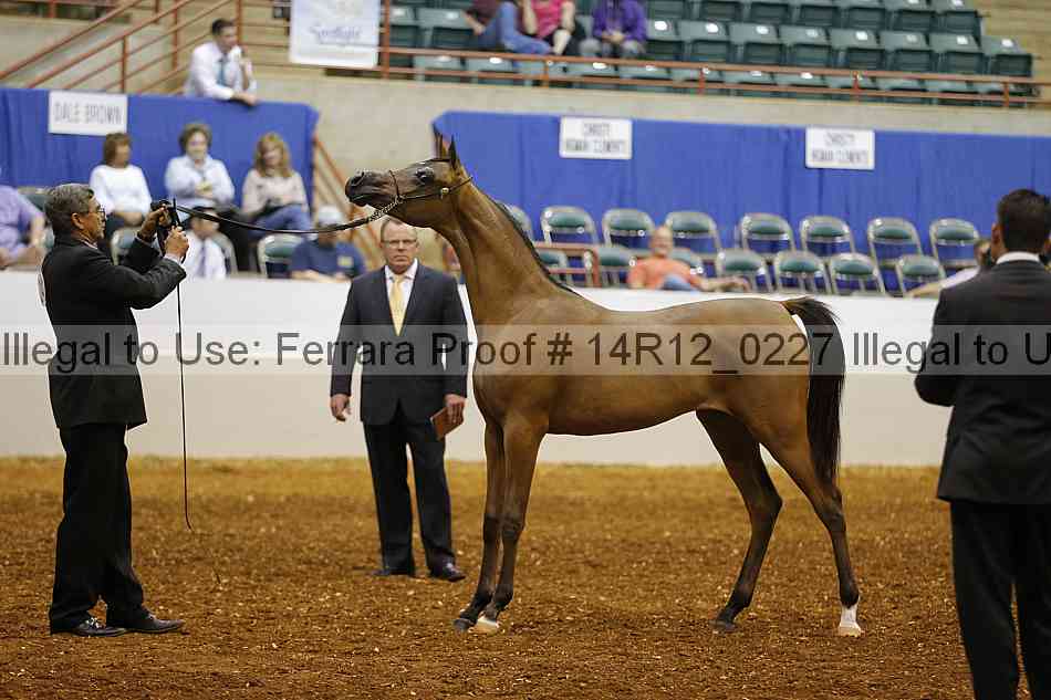Proof 14r12_0227