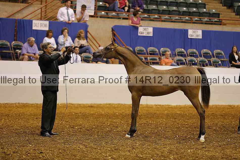 Proof 14r12_0230