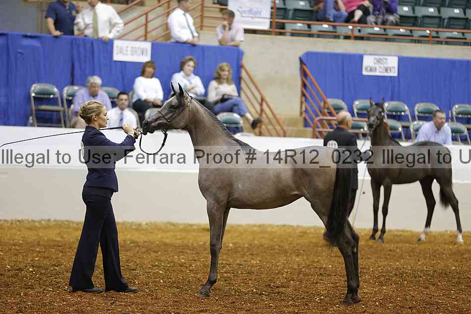 Proof 14r12_0232